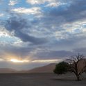 NAM HAR Dune45 2016NOV21 035 : 2016 - African Adventures, Hardap, Namibia, Southern, Africa, Dune 45, 2016, November
